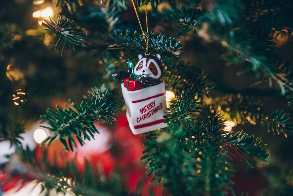 merry-christmas-ornament-on-tree